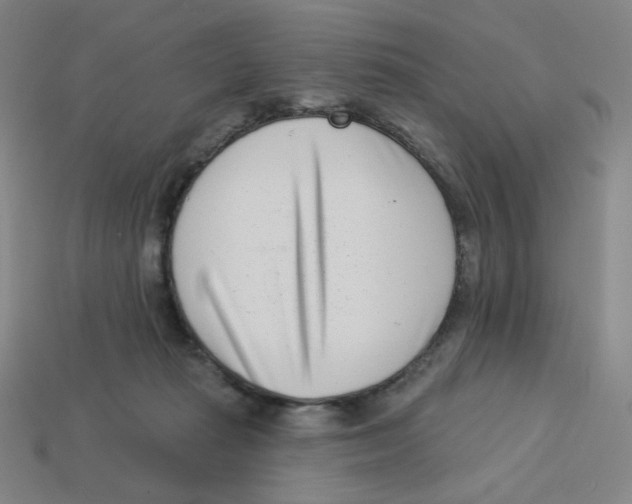 X0000113320269200910131134