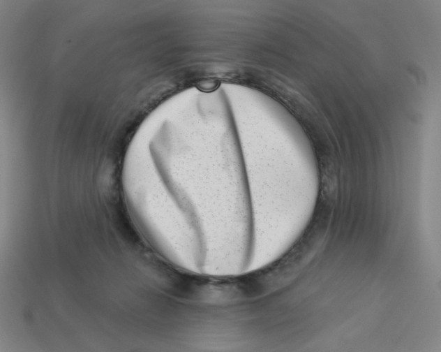 X0000113320270200910131134