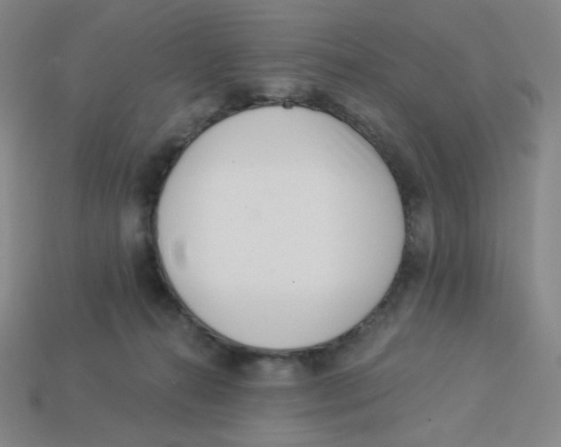 X0000113320272200910131134