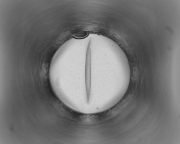 X0000113320273200910131134