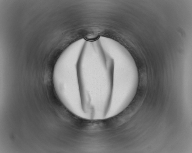 X0000113320274200910131134