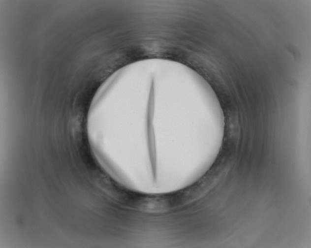 X0000113320275200910131134