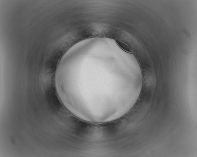 X0000113320276200910131134