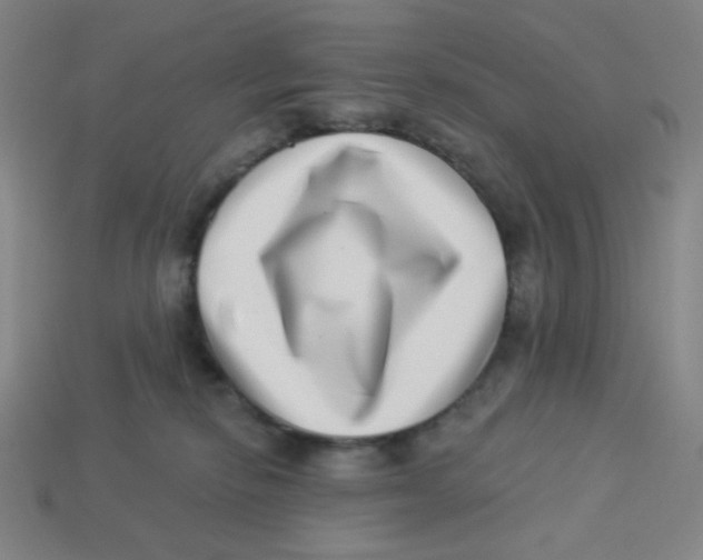 X0000113320278200910131134