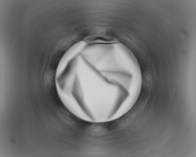 X0000113320280200910131134