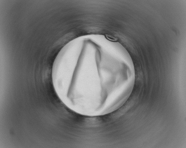 X0000113320281200910131134