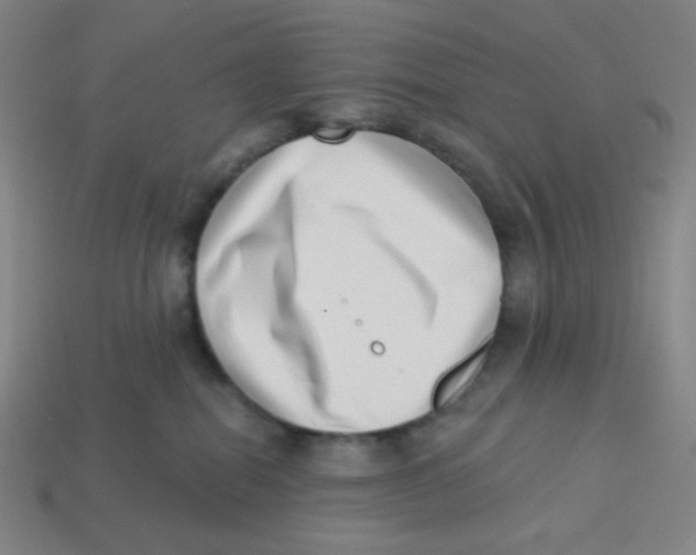 X0000113320282200910131134