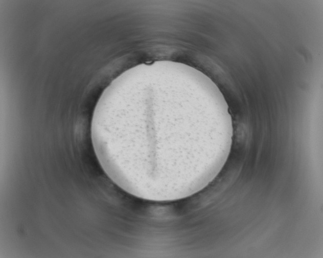 X0000113320283200910131134