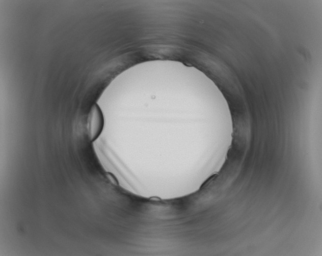 X0000113320284200910131134