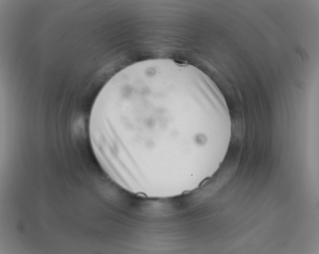 X0000113320286200910131134