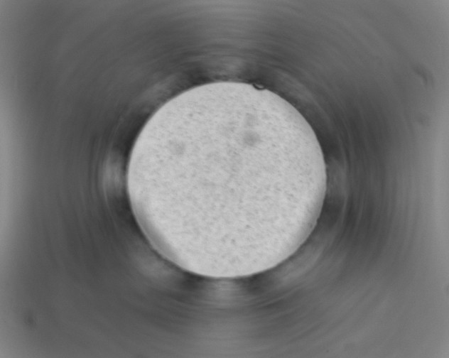 X0000113320287200910131134