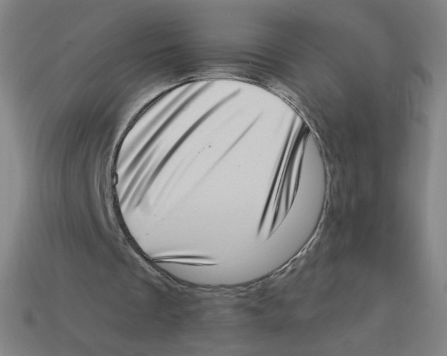 X0000113320289200910131134