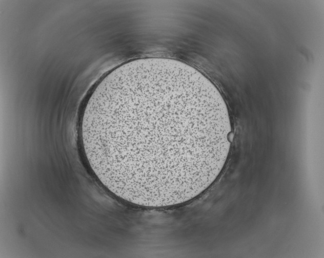 X0000113320290200910131134