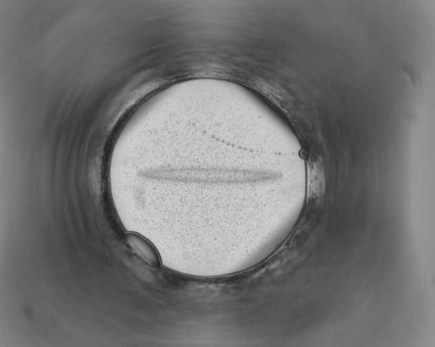 X0000113320291200910131134