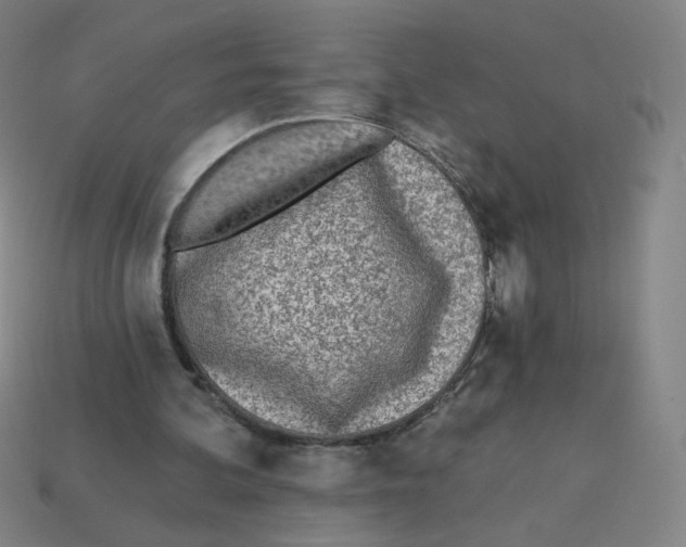 X0000113320292200910131134