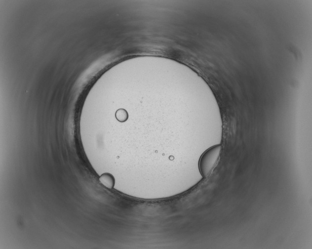 X0000113320294200910131134