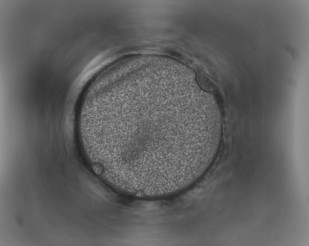 X0000113320295200910131134