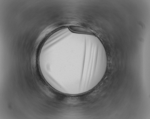 X0000113320296200910131134