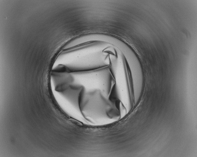 X0000113320297200910131134