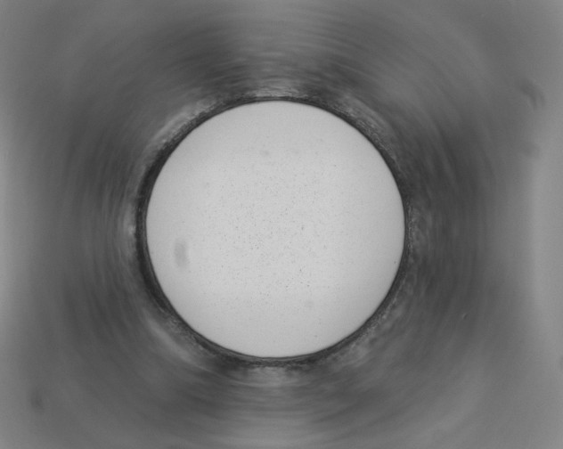 X0000113320298200910131134