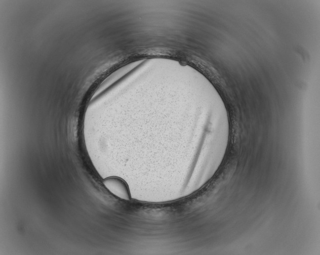 X0000113320299200910131134