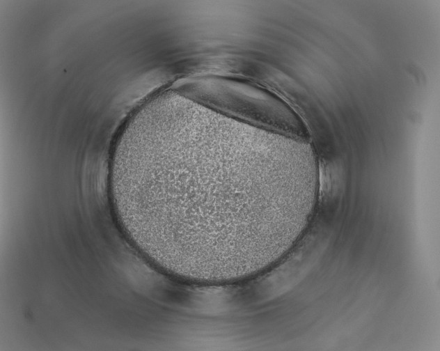 X0000113320301200910131134