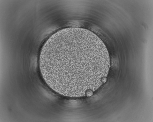 X0000113320302200910131134