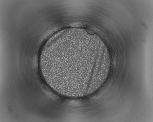 X0000113320303200910131134