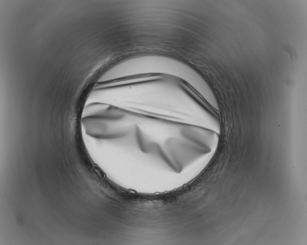 X0000113320304200910131133