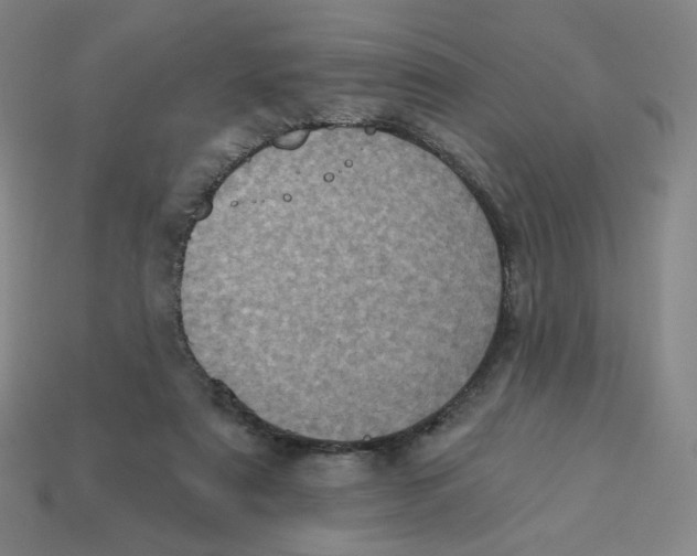 X0000113320307200910131133