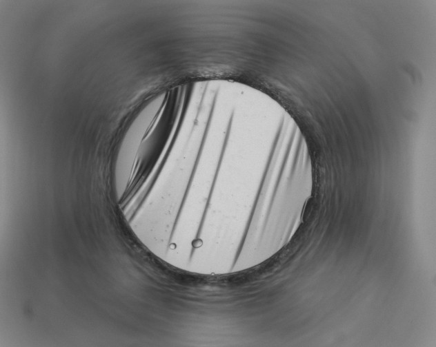 X0000113320308200910131133