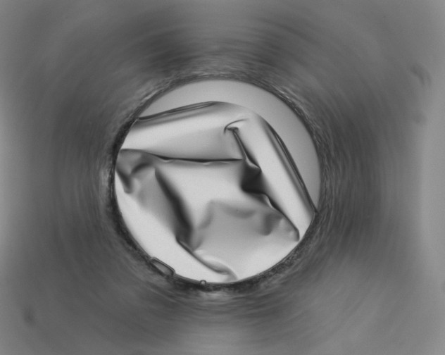 X0000113320309200910131133