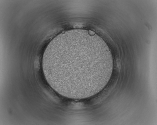 X0000113320311200910131133