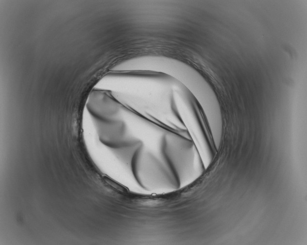 X0000113320313200910131133