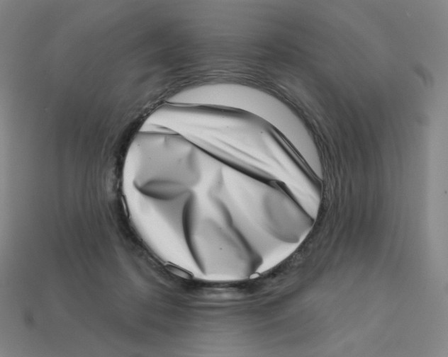 X0000113320316200910131133