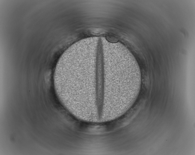 X0000113320319200910131133