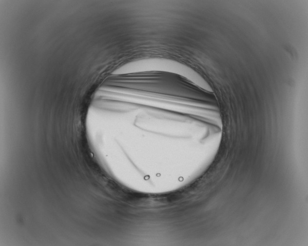 X0000113320320200910131133