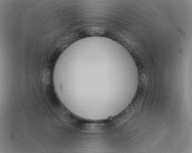 X0000113320323200910131133