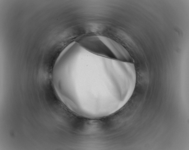 X0000113320324200910131133