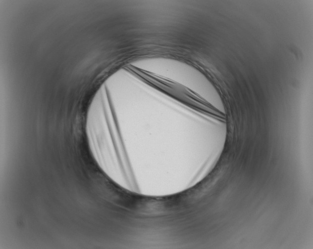 X0000113320325200910131133