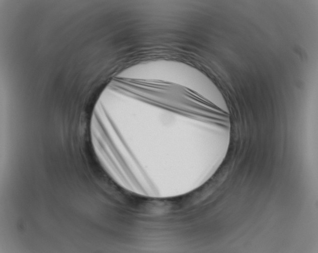 X0000113320328200910131133