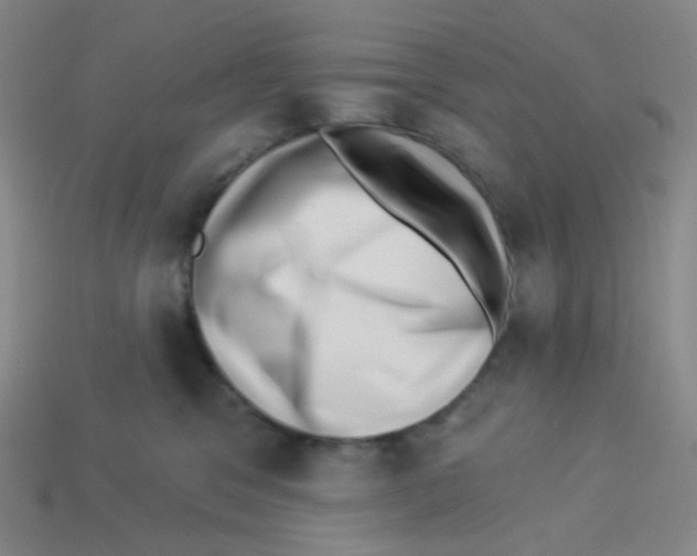 X0000113320329200910131133