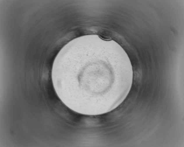 X0000113320331200910131133