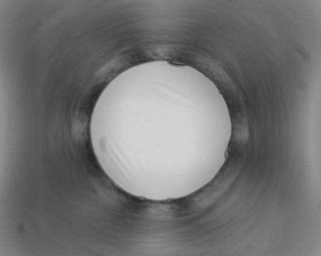 X0000113320332200910131133