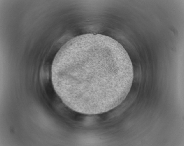 X0000113320334200910131133