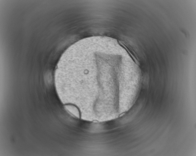 X0000113320335200910131133