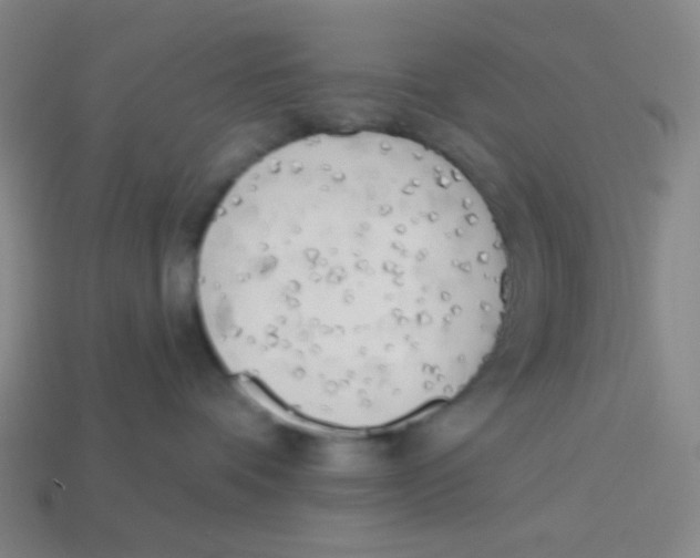 X0000113320336200910131133