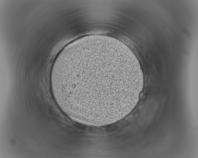 X0000113320337200910131132