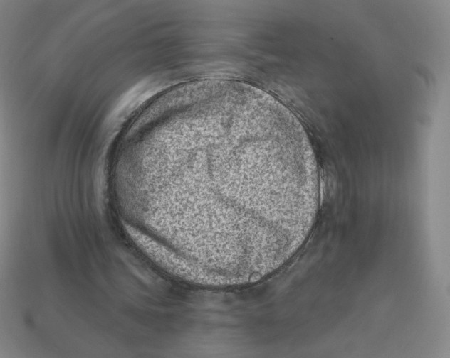 X0000113320339200910131132