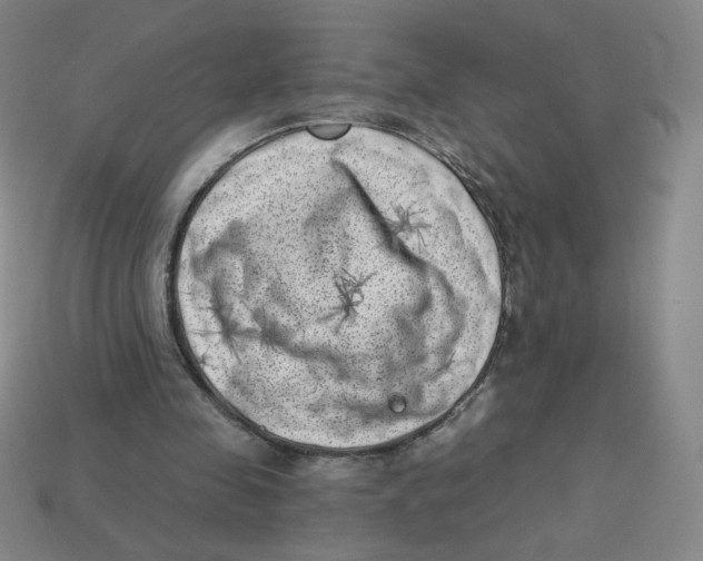 X0000113320341200910131133